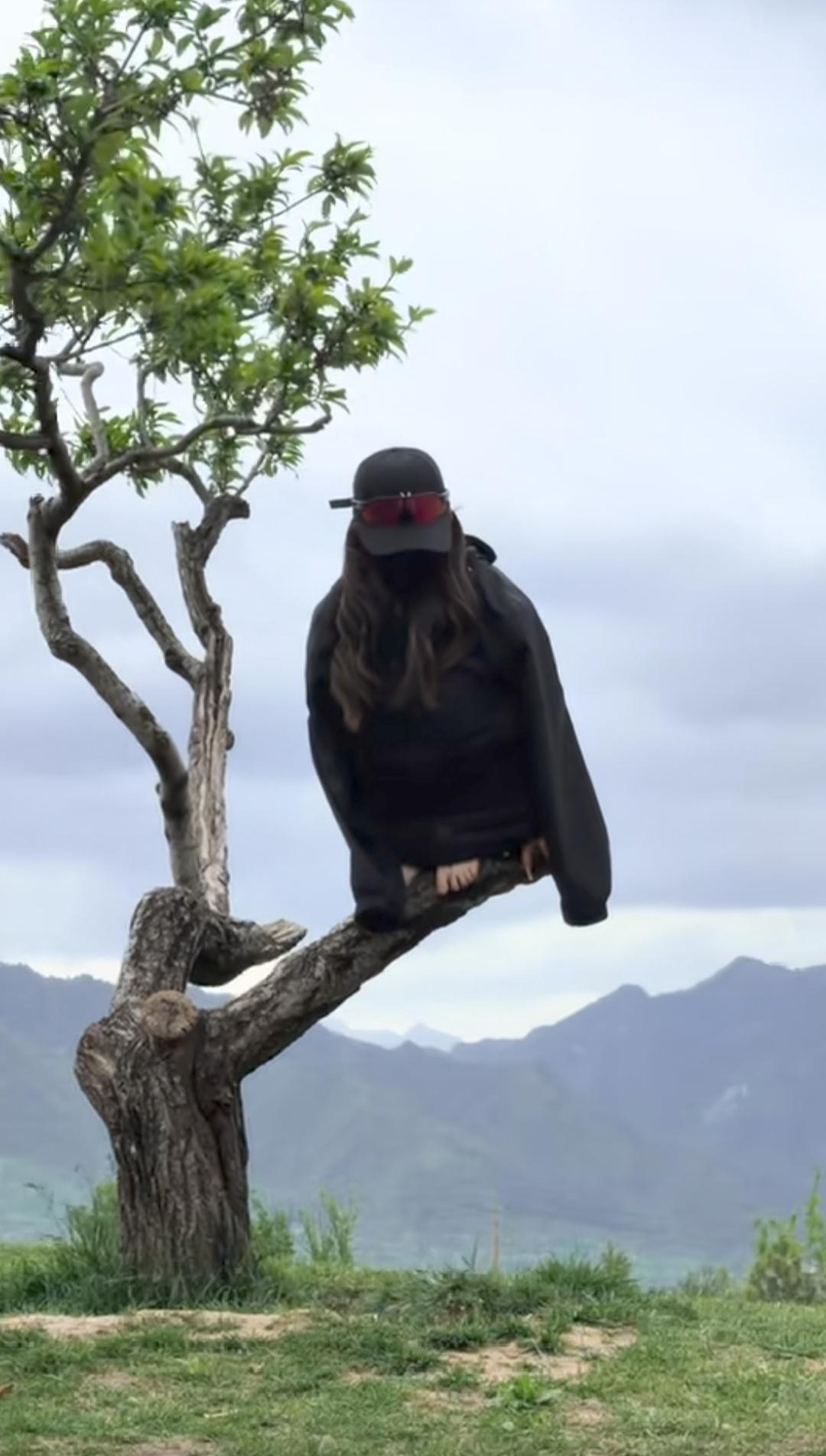 好可怕呢，遇到一只怪鸟，我只能去问豆包了。