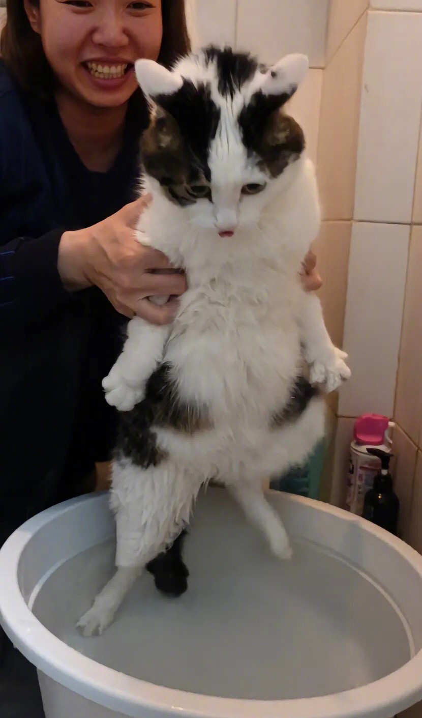 对于洗澡这事，满脸都是拒绝！！