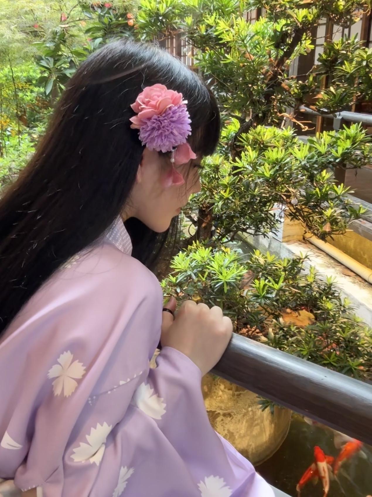 自由小狗正在上岛