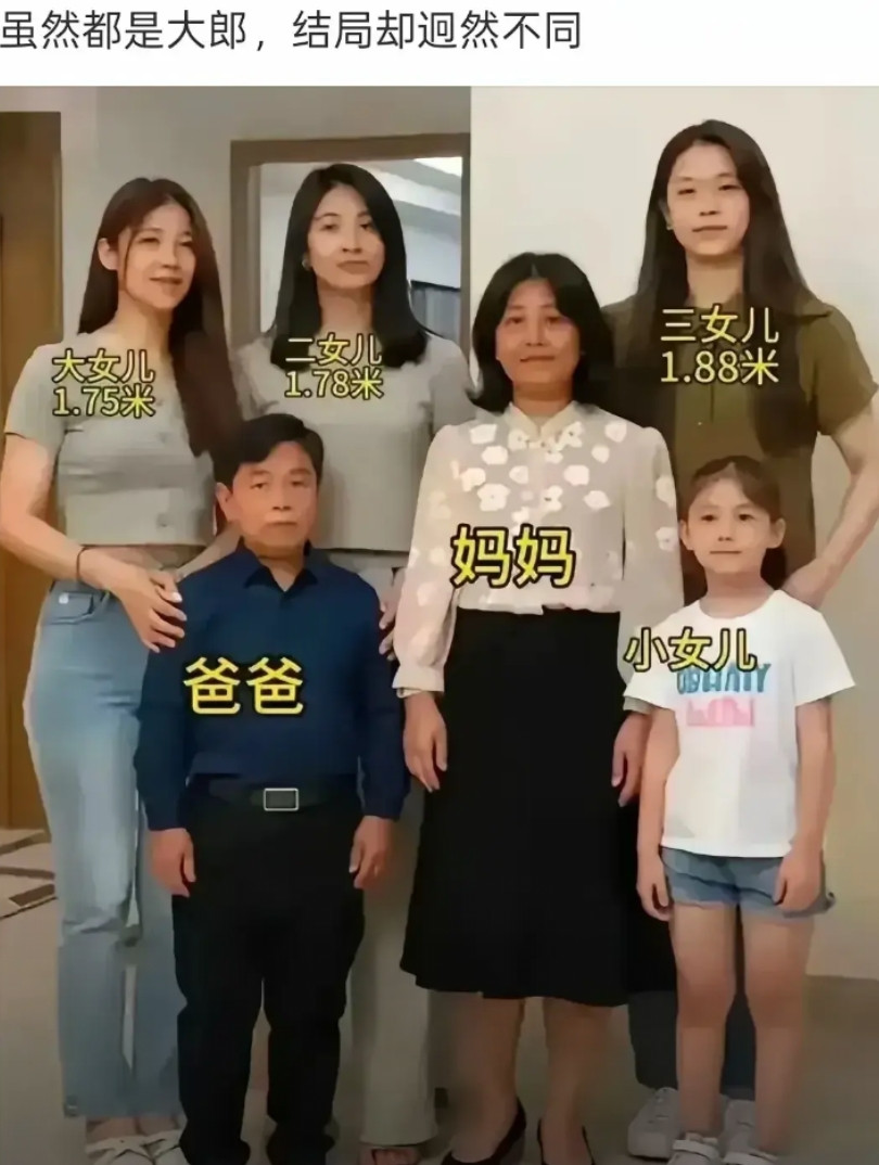 这个怎么说？