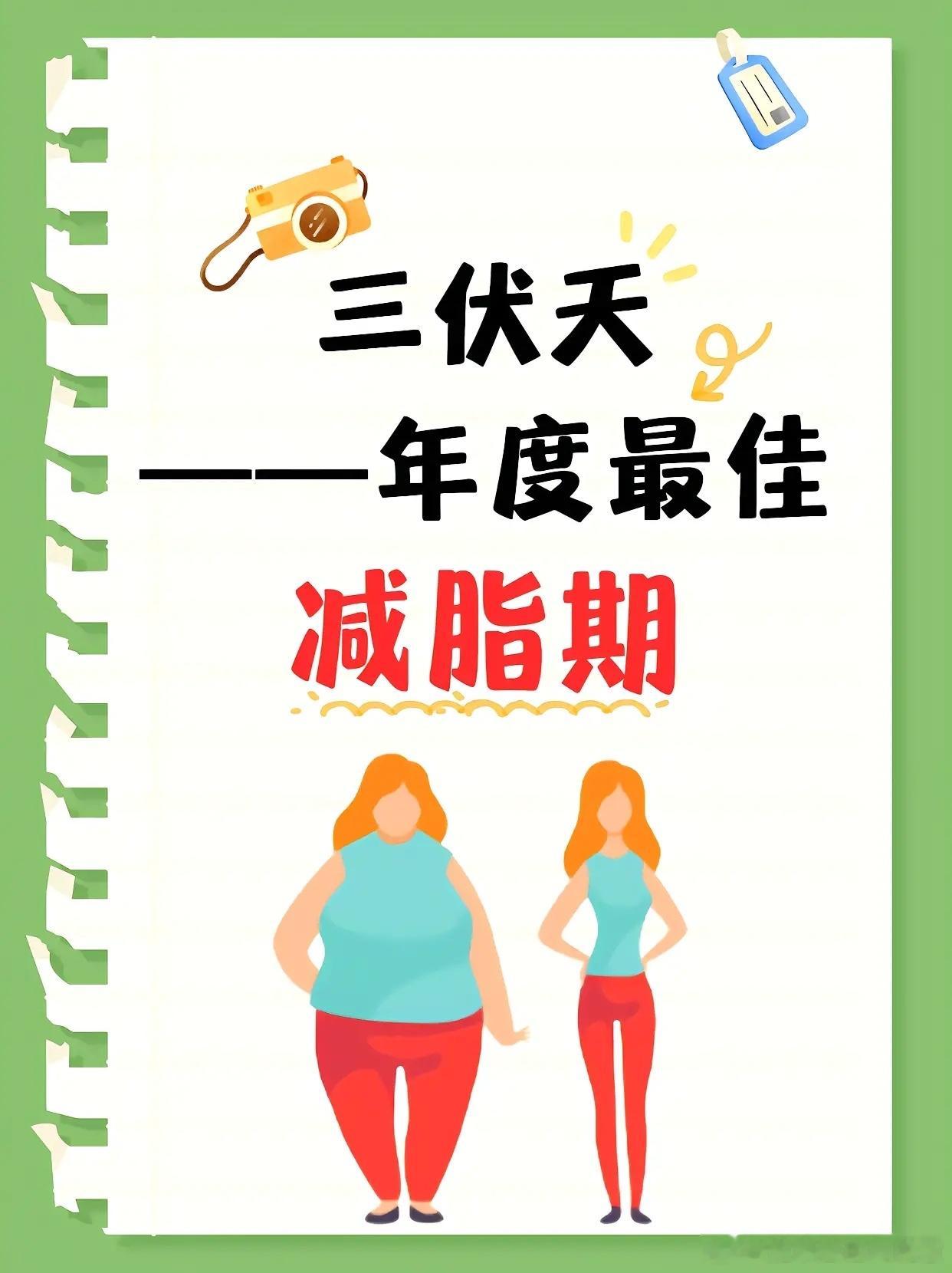 三伏高效减脂法全民营养提升计划三伏天这样吃，瘦得快还不虚！1、多喝水推荐每日饮