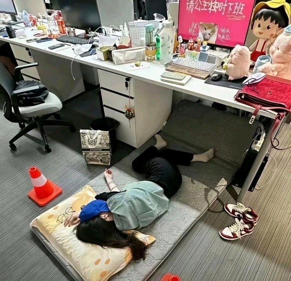 公司这样午休，不尴尬吗