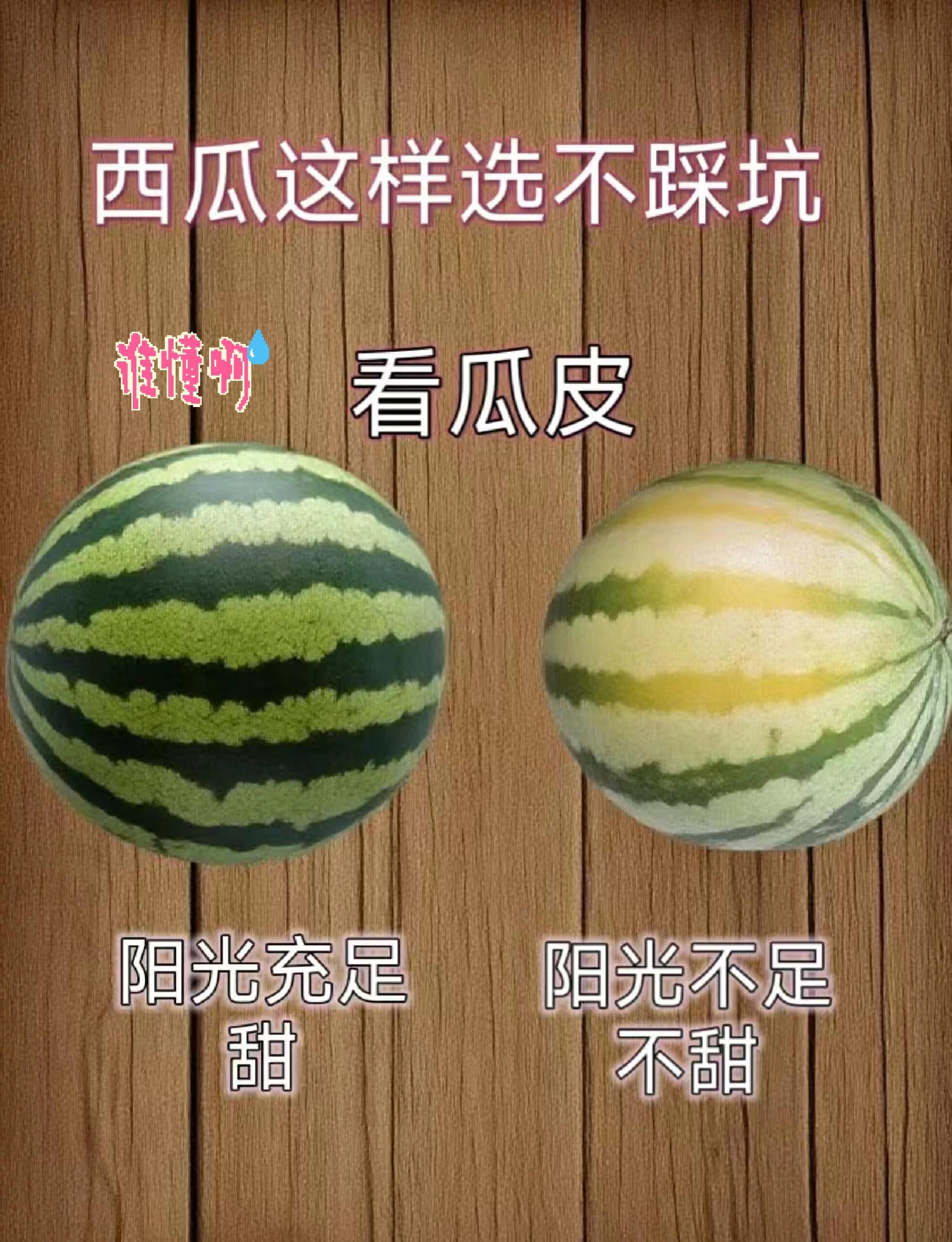 科普下，夏天挑选好西瓜！1.瓜蒂弯转的甜，2.瓜脐小的皮薄肉甜，3.纹路大的甜，