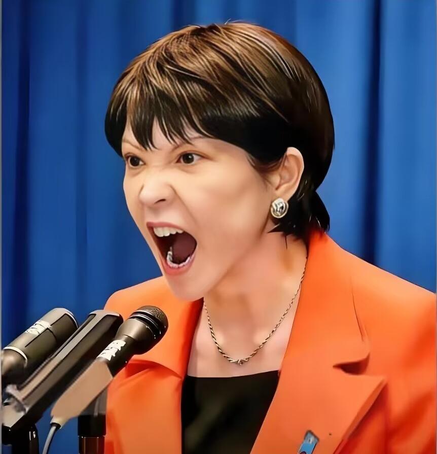 日本刚刚召开紧急会议2026年5月18日，自民党这通紧急召集令发出去不到24
