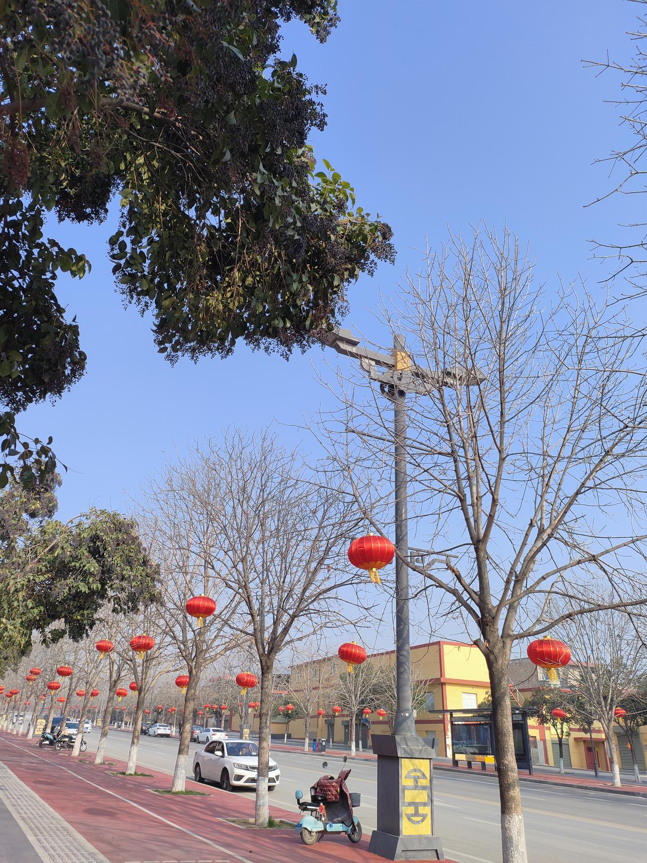 老话常说，手心手背都是肉，可在不少家庭里，这肉长的就是不一样厚。父母偏心，看似是