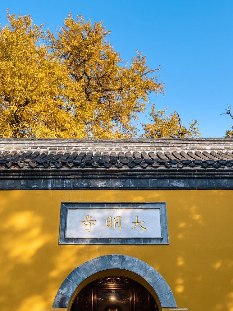 冬日大明寺，与鉴真共赴千年之约深冬的扬州，寒云低垂，瘦西湖的残荷覆着薄霜，