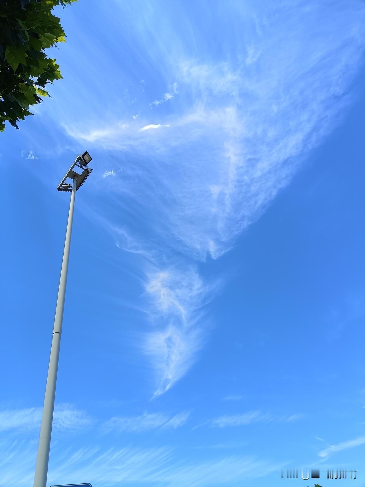 今去市里的药店拿了点药，人家说是处方药，得先开处方看能不能审核通过，通过不了还不