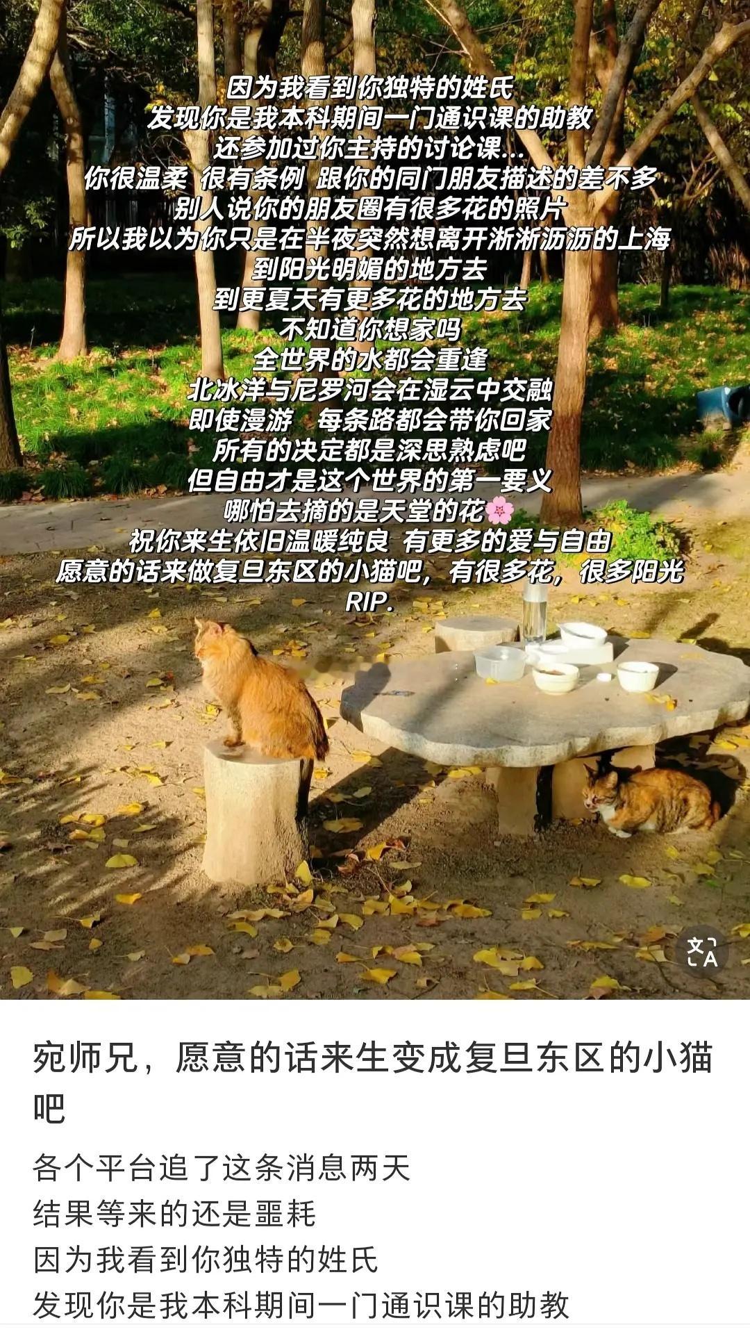 他们不管什么时候脑子里都是那点事儿对吗，甚至面对一篇悼文￼​​​