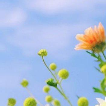 正能量正能量放低姿态，不是软弱和妥协，而是真正的内心强大、心态沉稳，它可以让自