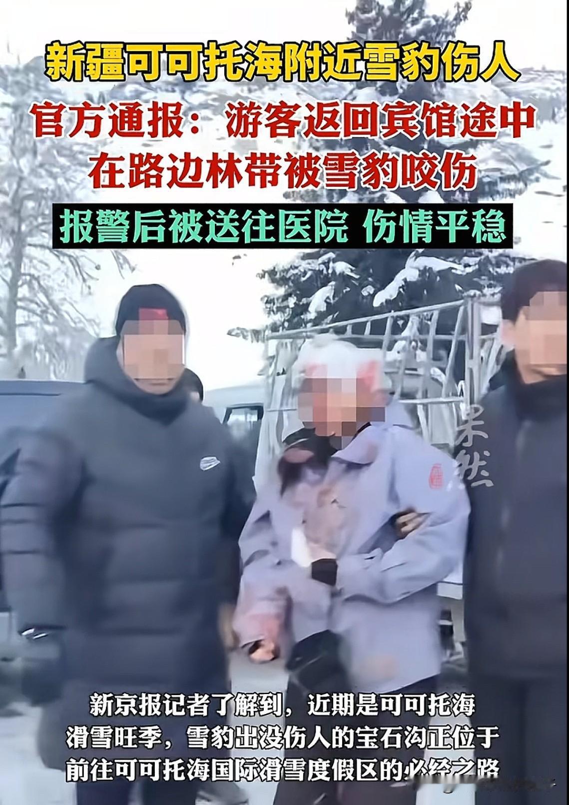 太蠢了！新疆雪豹伤人事件后续，我注意到现场的3个细节！第一、女生被雪豹扑倒的