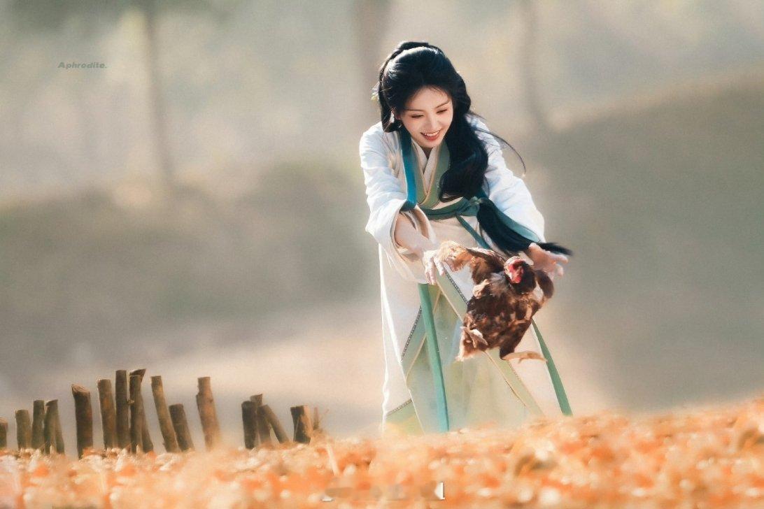 田曦薇主演的《嫁金钗》最新路透图来了，抓鸡也抓出来了唯美感呢，笑的也是真的很甜啊