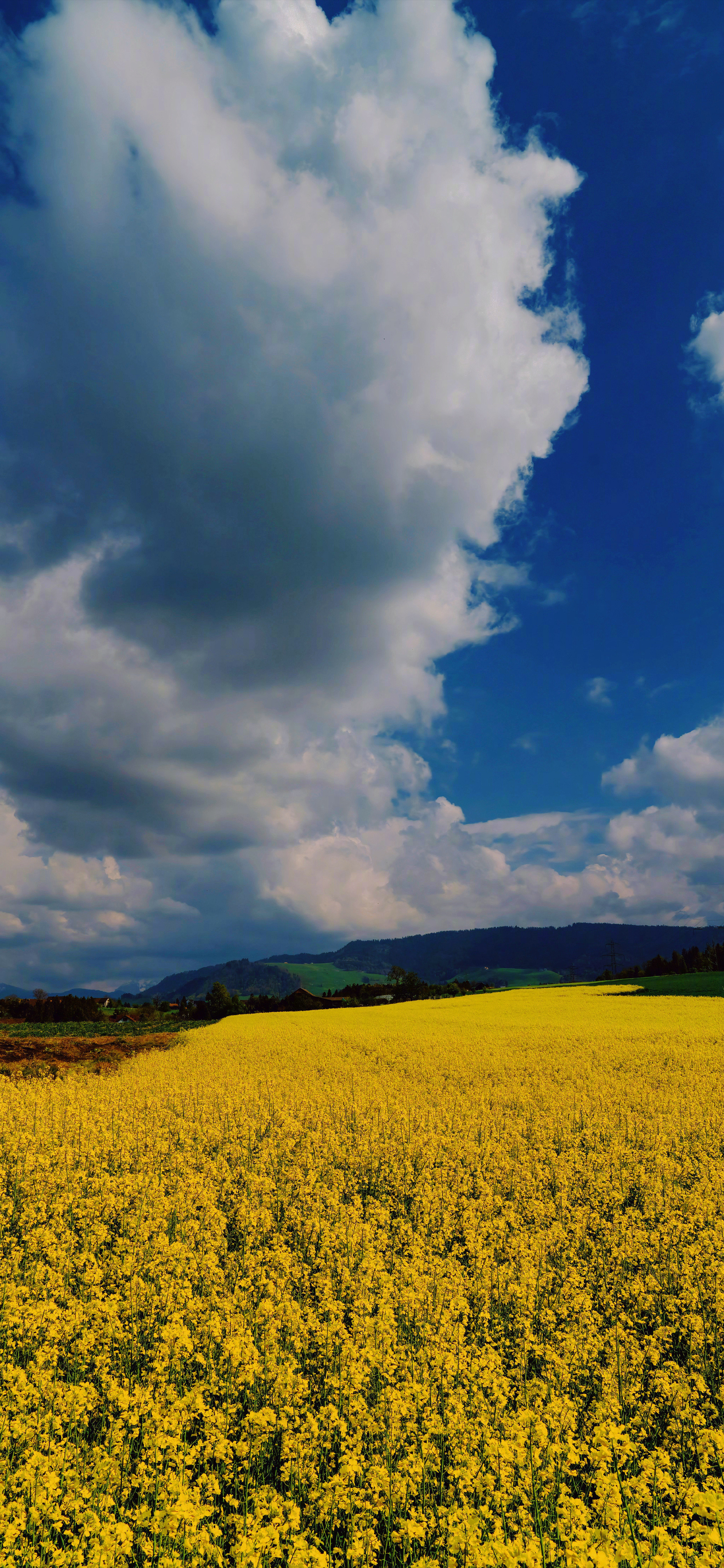 小伙伴们早开工了风景壁纸​​​