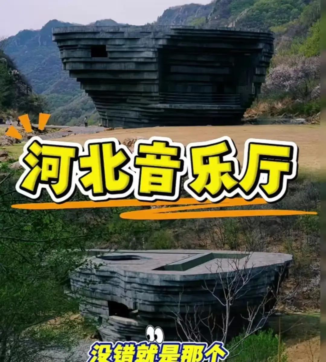 休假3天拍大片，王楚钦闷声干大事一张侧脸照刷屏，点赞比比赛日还多。灰大衣、