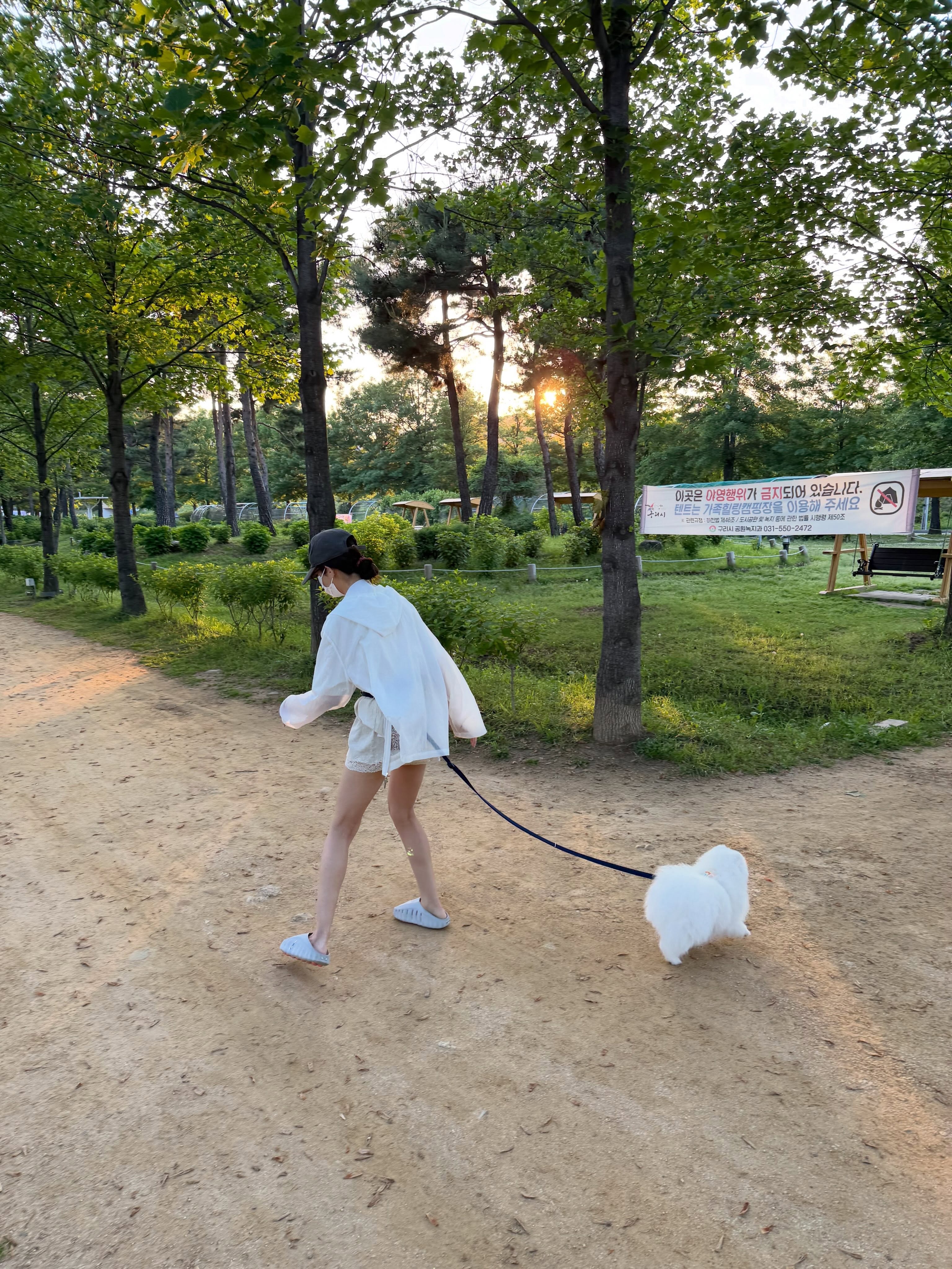 好可爱的日常ploglia