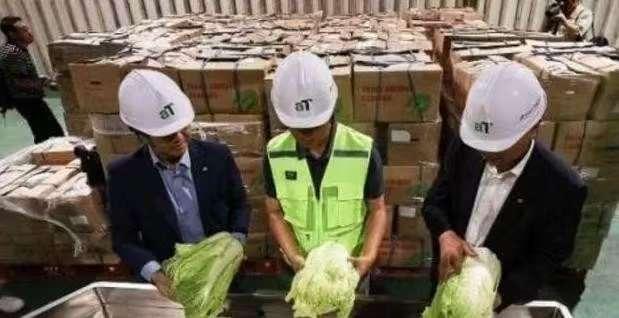 “中国要被我们拖垮了！”2024年，韩国上千人拒绝吃中国白菜，本想给我们个“下马