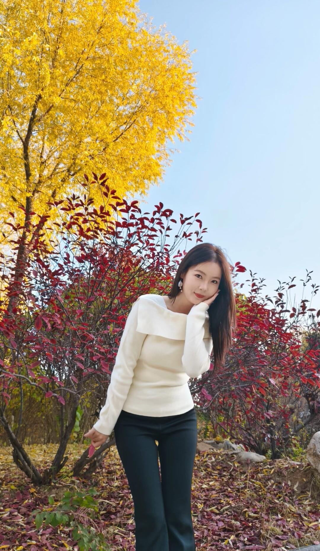 秋日暖阳下，红叶与黄叶交织，少女轻倚树旁，微笑如花。