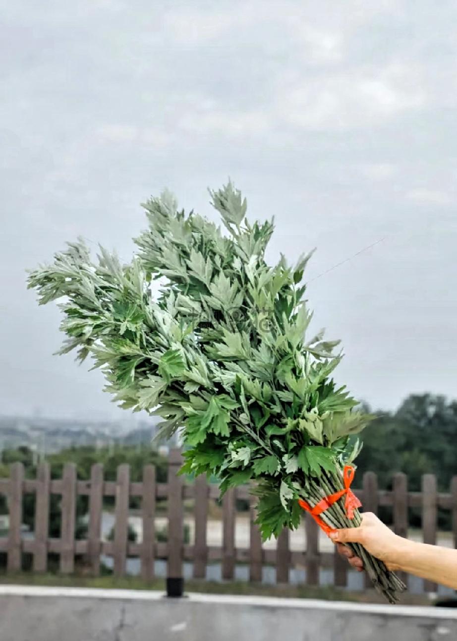 今天是六月初六，提醒大家别忘了做一件事。六月初六一个老习俗，90%的人不知