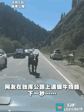 牛：我就开个玩笑而已，你们咋把警察叔叔给叫来了？[笑着哭]