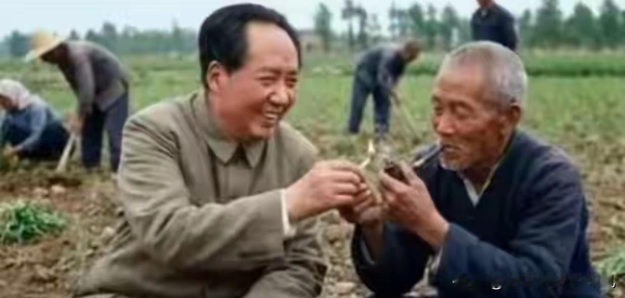 毛主席给农民点烟？这张刷屏几十年的“暖心照”，真相恰恰相反。1957年，团代