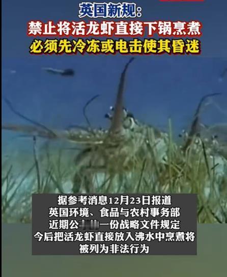 英国：论文明还的是我大英！英国在其《动物福利战略》中明确，“活煮”不符合动物福利