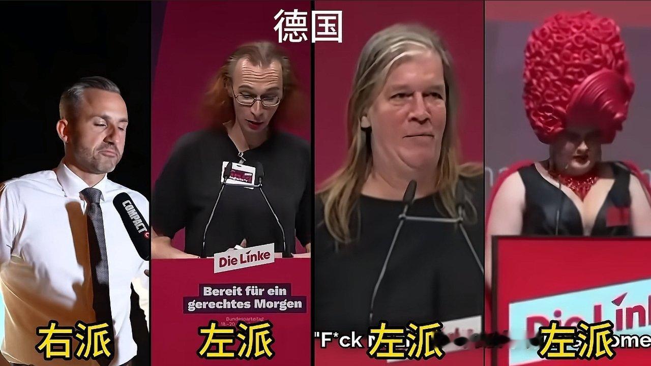 啧啧啧，难怪德国选择党afd会大胜，这几位左派的造型都挺别致啊，一水的妖魔鬼怪风