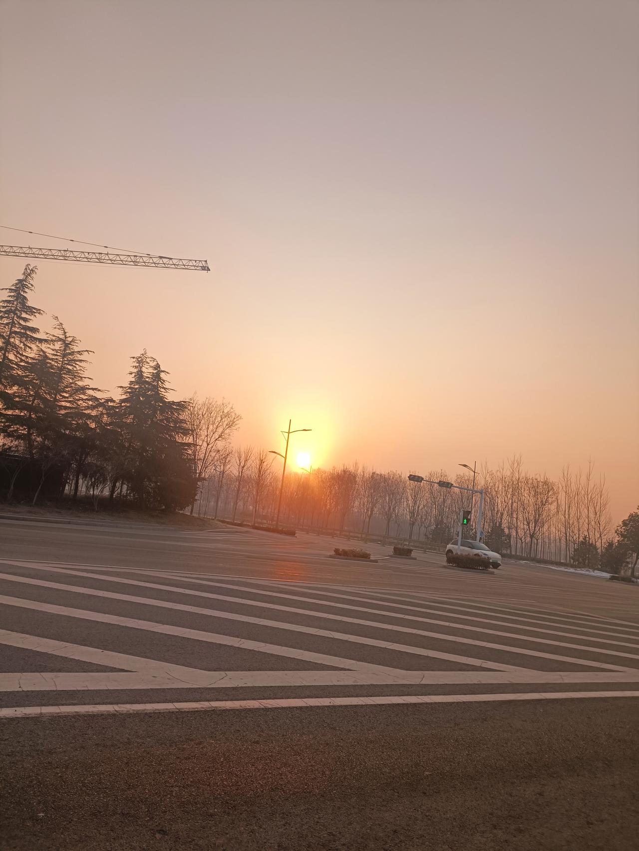 周末清晨，我临时起意去菜市场买菜。路过一家面包店时，刚出炉的羊角包香气扑面而来，