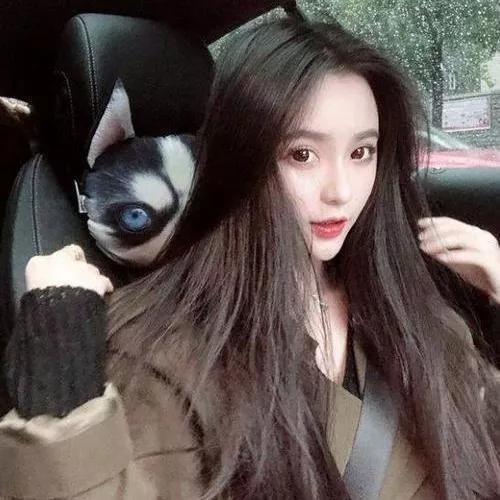 车内温馨自拍，可爱的狗狗陪伴，温暖冬日时光宠物狗自拍萌宠狗自拍写真萌狗自拍