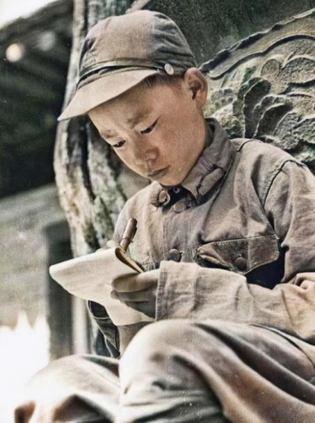 1939年，15岁的交通员李成二在送情报的途中，遇到了两只饿狼，他赶紧躲到了树上