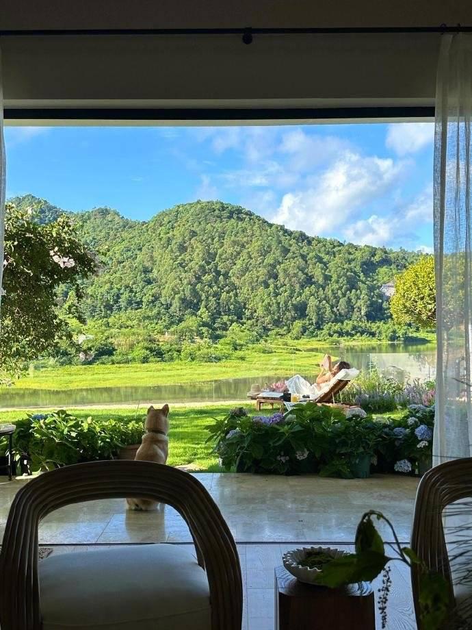 长春楼市的那些家长也太拼了。在2023年10月到2024年10月里面。长春楼