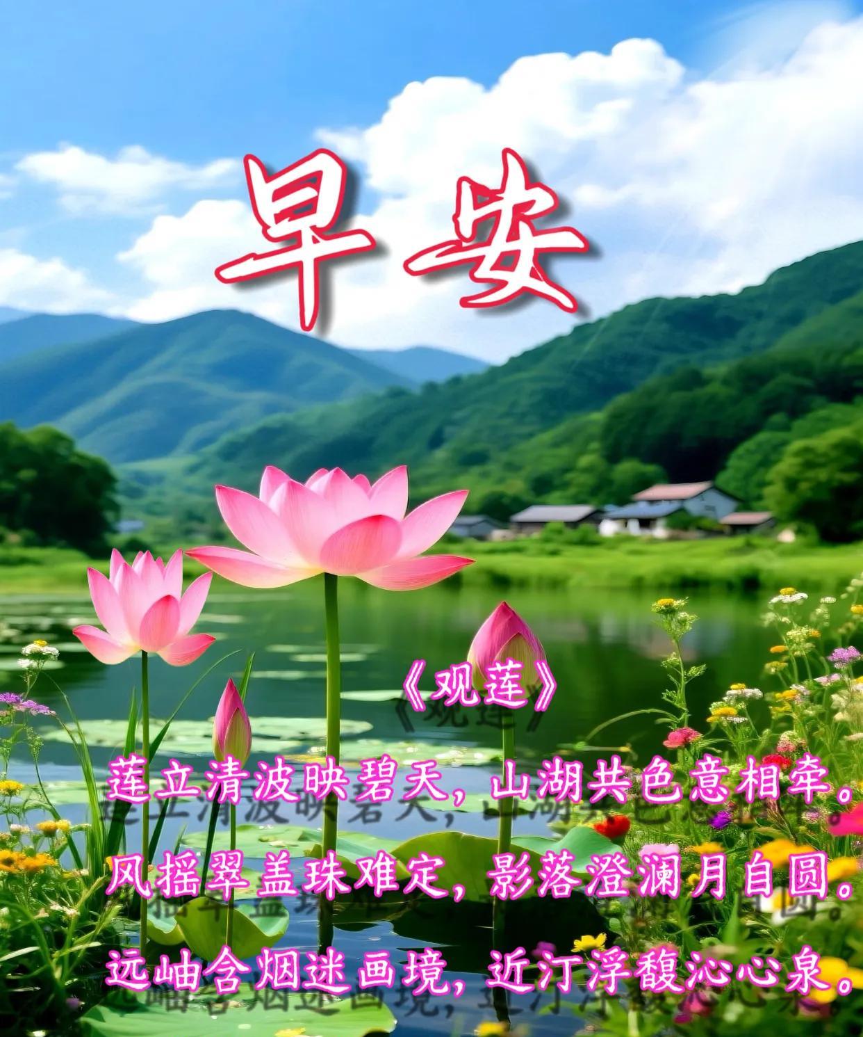朋友：早安！《观莲》莲立清波映碧天，山湖共色意相牵。风摇翠盖珠难定，影落