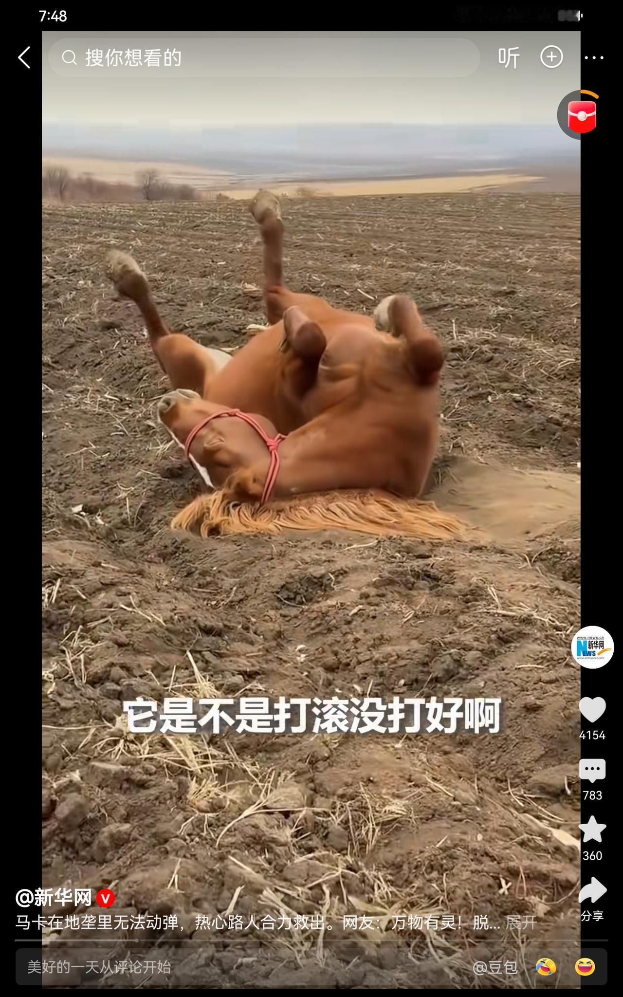 这匹马遇到好人了，正好躺在垄沟里，四蹄用不上劲，所以起不来。