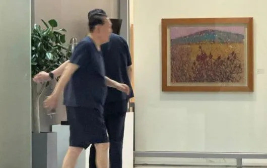 尹锡悦被查：在家休闲逛街我勒个去，这事儿真让人目瞪口呆！