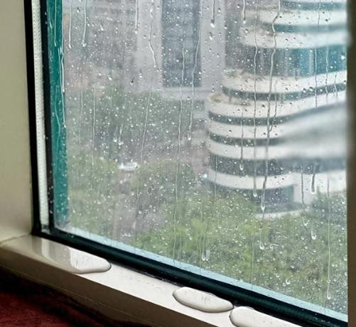 我家那套老房子，住了快十年。每年夏天暴雨，窗台就上演“水帘洞”。地板泡鼓了两块，