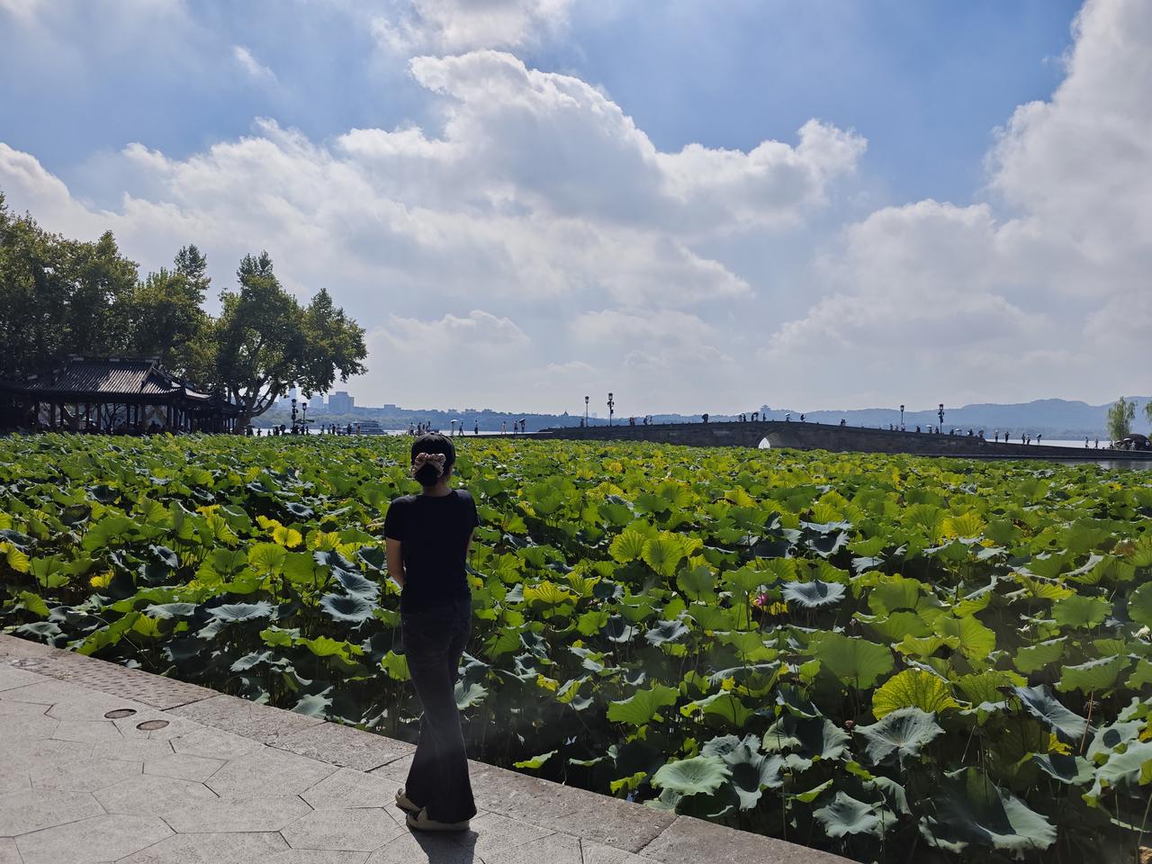 秋天的西湖，天气转凉，空气中弥漫着桂花的甜香，让人感到无比惬意。西湖的早晨，