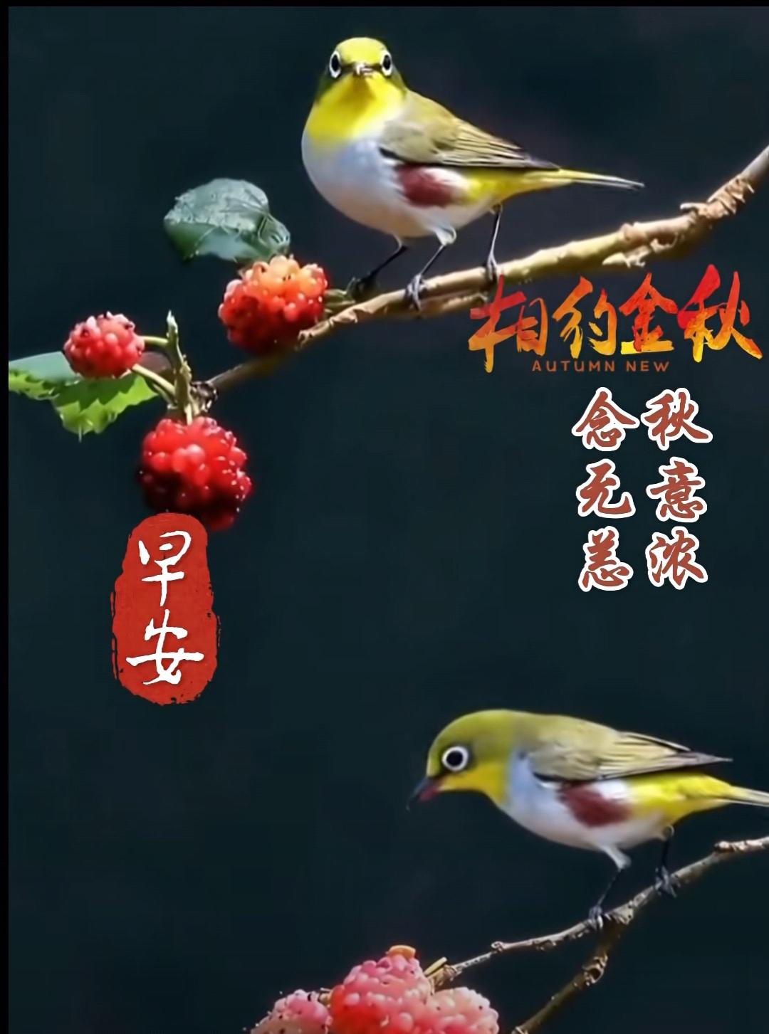 好朋友會牽掛，人生路上知音，心靈上的共鳴，無論遠在天邊，還是近在咫尺，