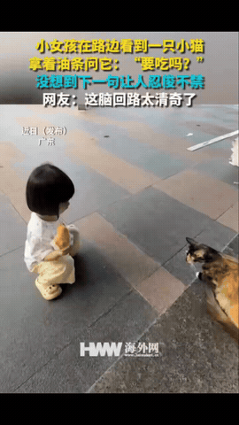 小女孩在公园玩耍，路边看到一只小猫，她热情的跑过去跟它打招呼，还贴心的把油条递过