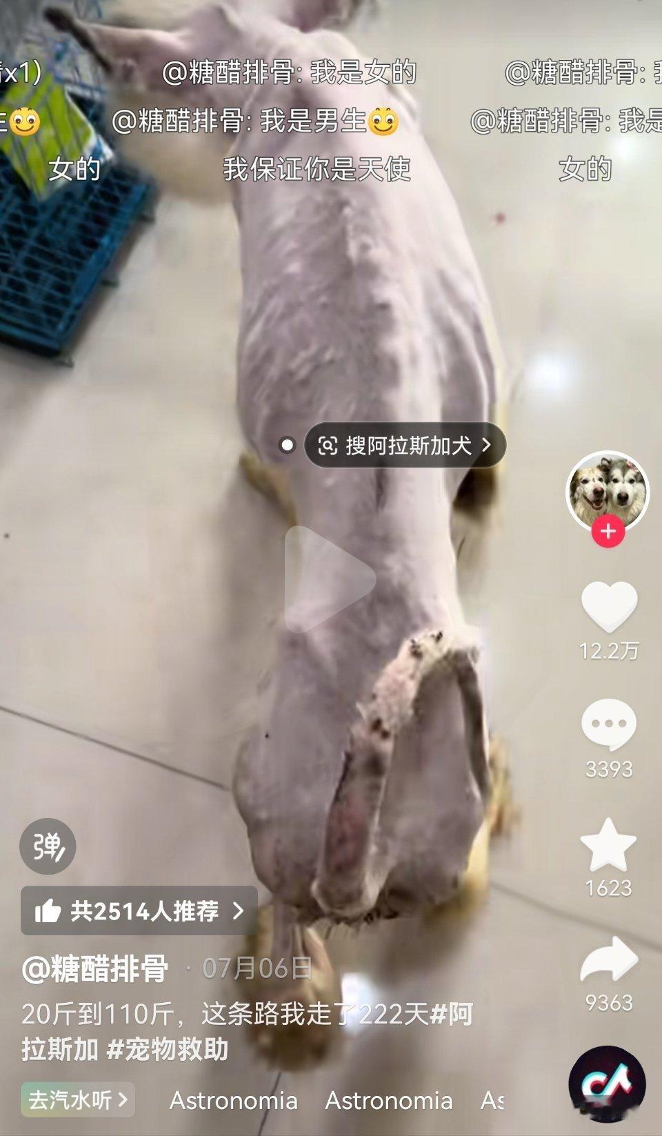 “姐妹你真的好棒，一定花了很多爱跟钱。”“我是男生。”