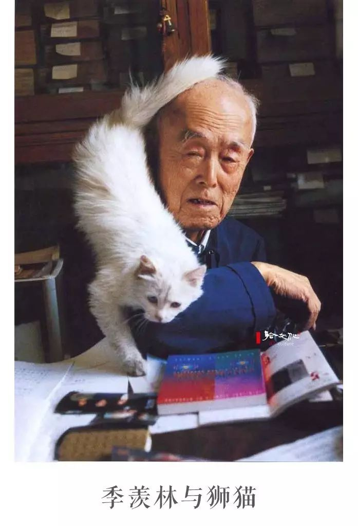 什么是低端家庭？蔡澜说：“你去他们家吃一顿饭就知道了。所谓的低端家庭并不是生活困难，吃不上大鱼大肉，