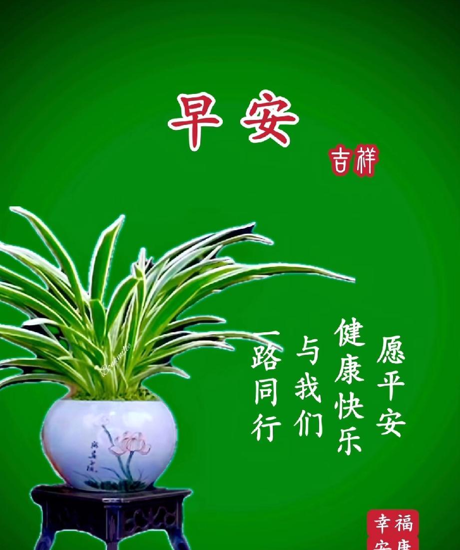 [玫瑰]早上好[玫瑰]早晨好呀？新的一天愿平安、健康、快乐于我们一路同
