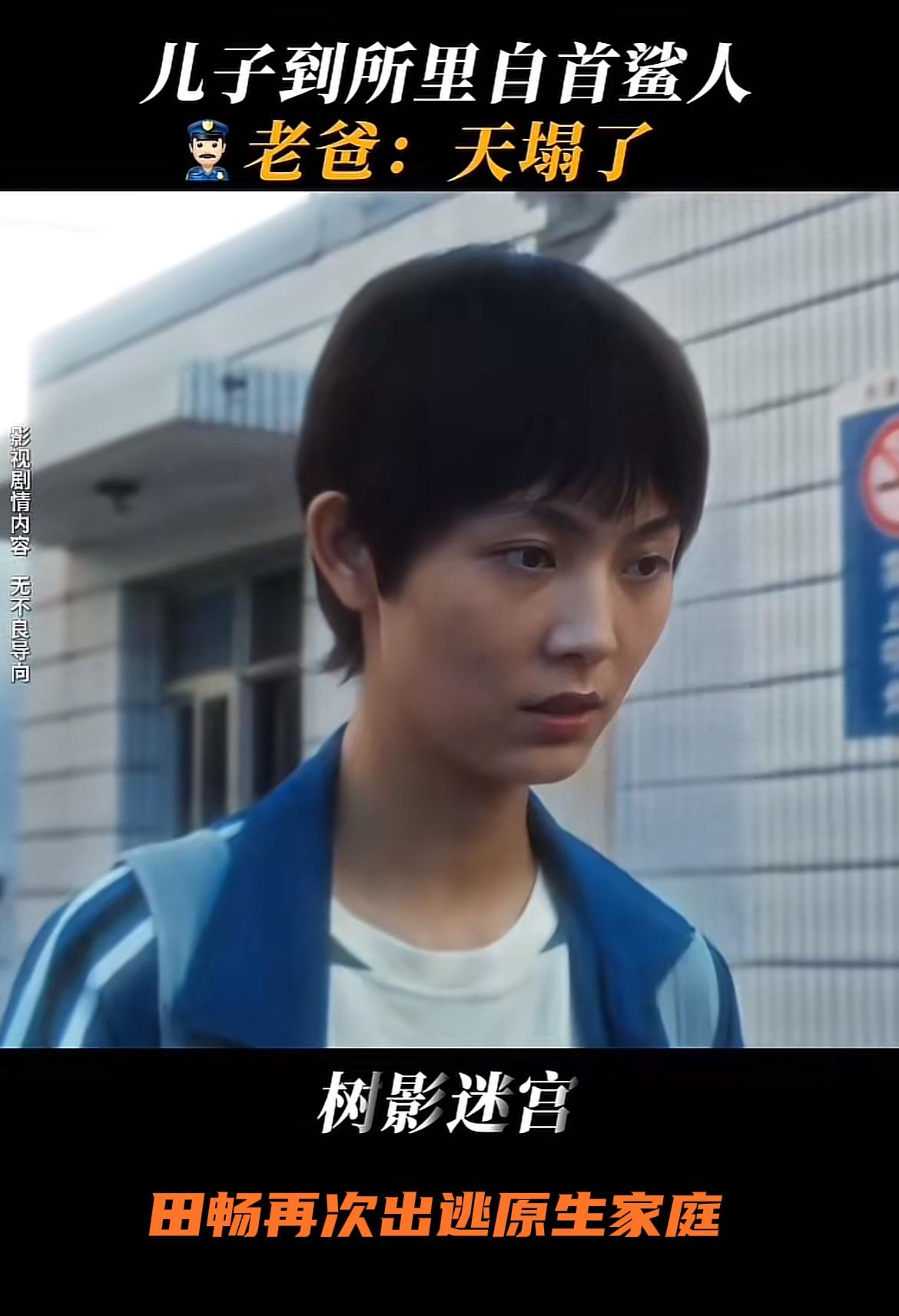 刚刚看完由廖凡、尹昉主演的刑侦悬疑剧《树影迷宫》第十三、十四集，这两集和主线剧情