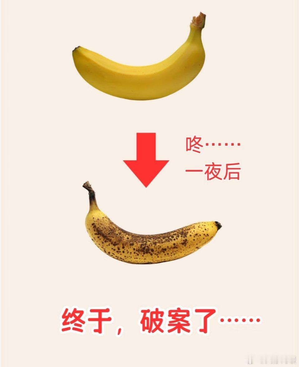 香蕉竟不能放冰箱？真相来了！你是否曾好奇，为啥香蕉放冰箱隔夜表皮就发黑？这背后