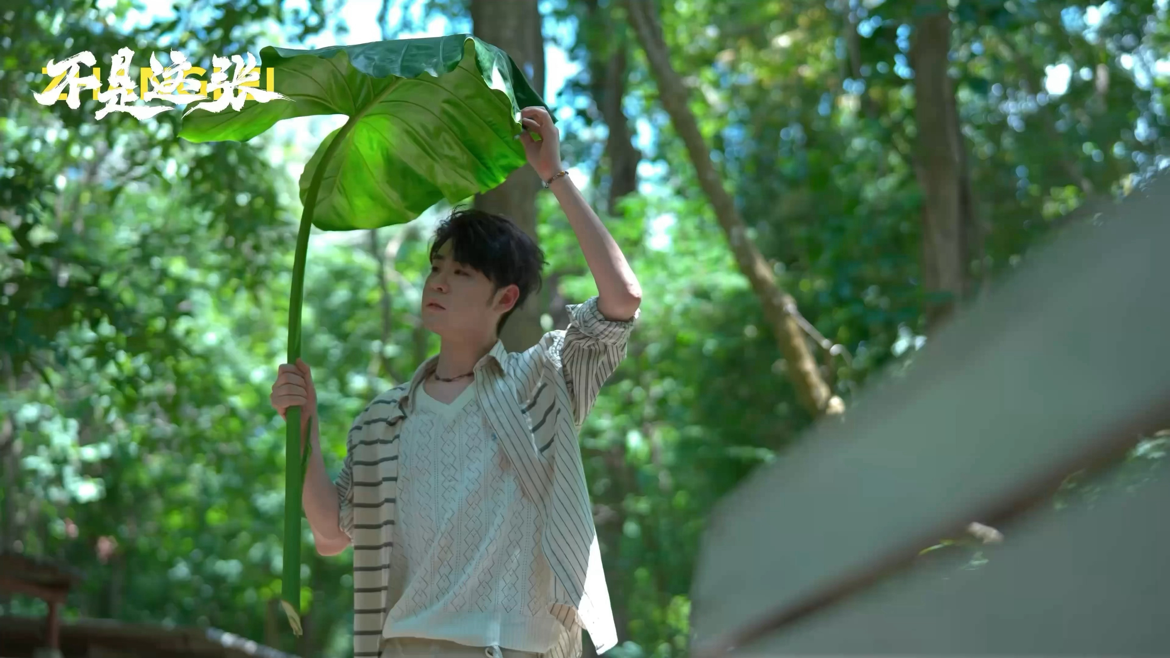 举着这大芭蕉叶当时第一眼看到就想到动漫龙猫的那个场景再喷点雨就完美复刻了很治愈的