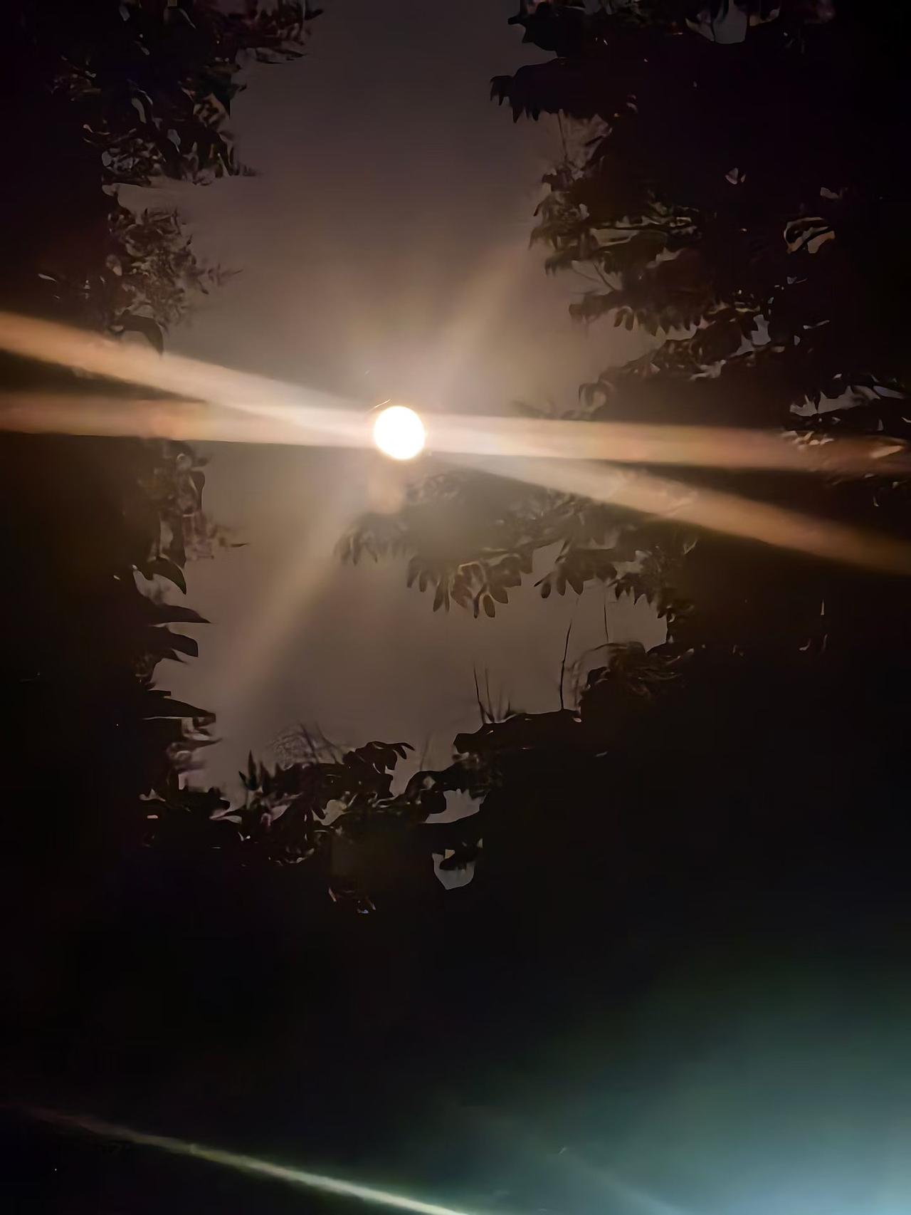 丁丑延我寿，丁亥拘我魂。丁酉制我魄，丁未却我灾。丁巳度我危，丁卯度我厄。甲
