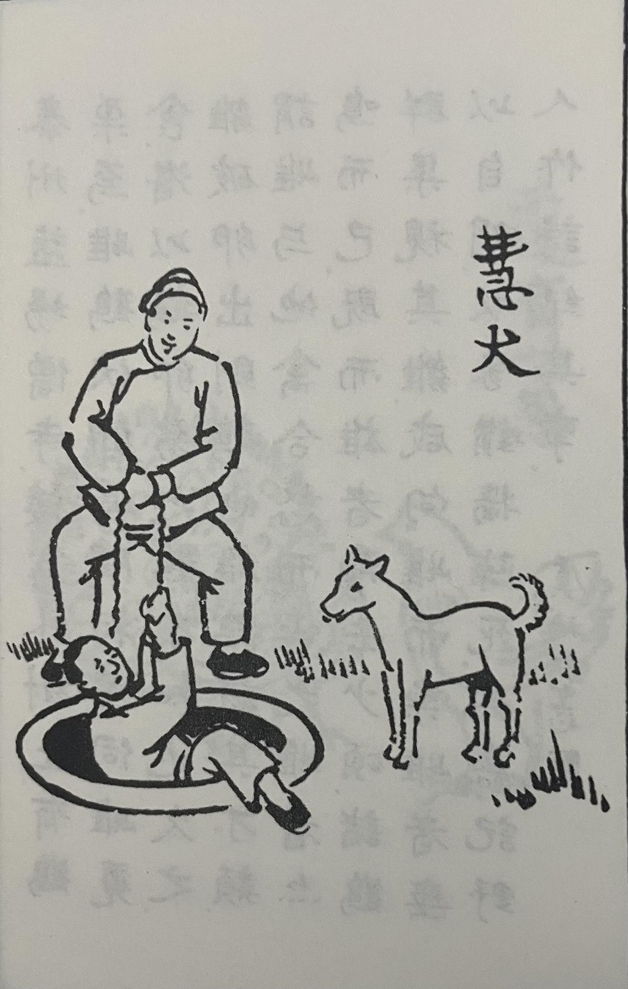 唐朝太和年间，杨生养了一条狗，宝贝得跟命根子似的。有天夜里赶路，杨生一脚踩空，掉