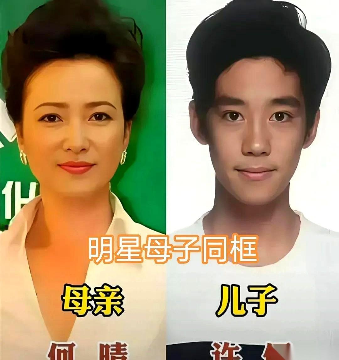 投胎，真的是一门技术活。你看陈红、周韵、王艳这些顶级大美人，生的儿子，一个个帅