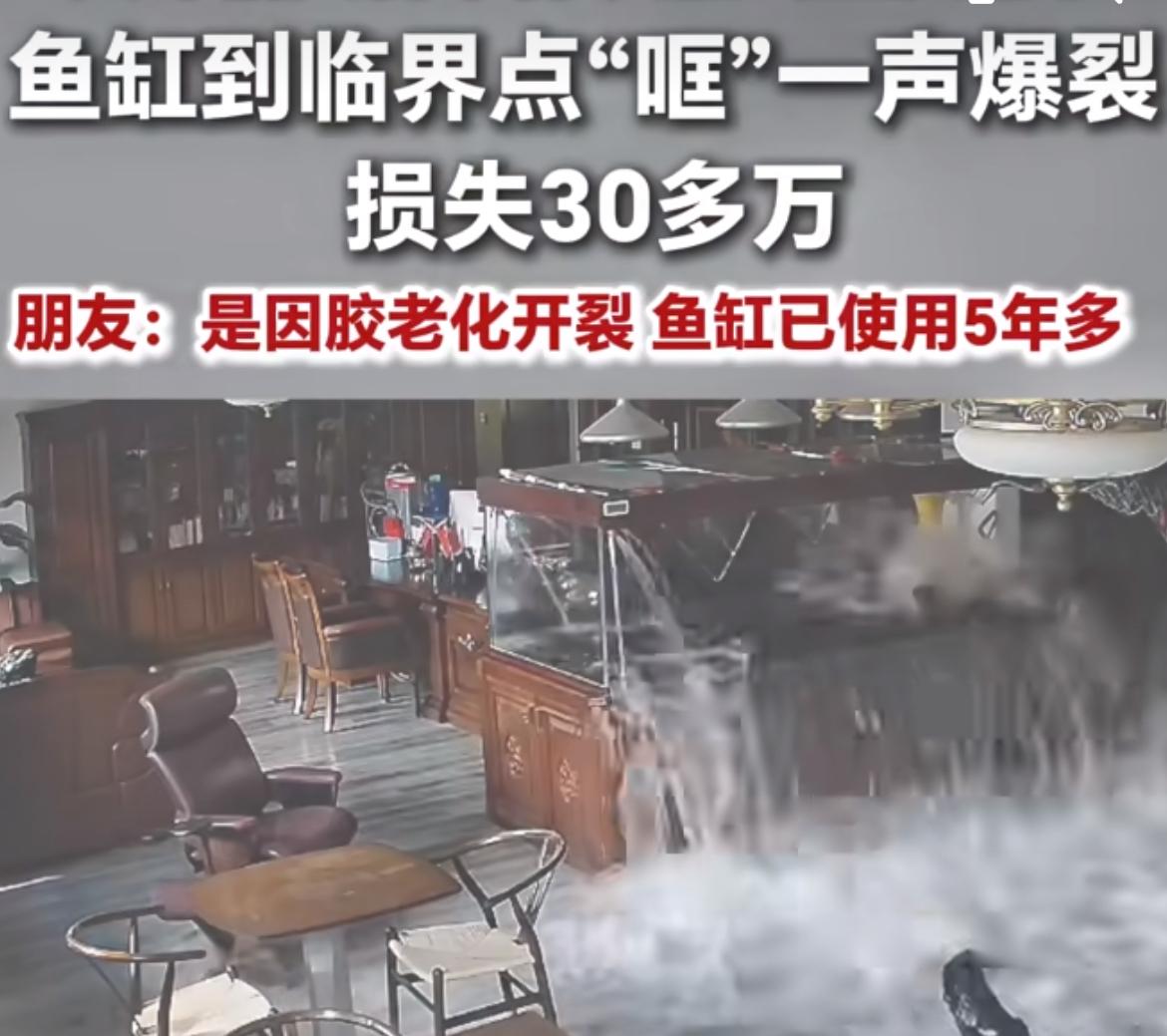 刷到一个挺让人心碎又有点哭笑不得的新闻。江苏无锡的杜先生，家里有个养了5年的大鱼