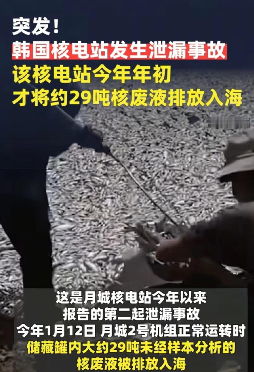 突发!韩国核电站发生泄露事故，会不会是全智贤带它们剧组的人破坏的，希望核电站不要