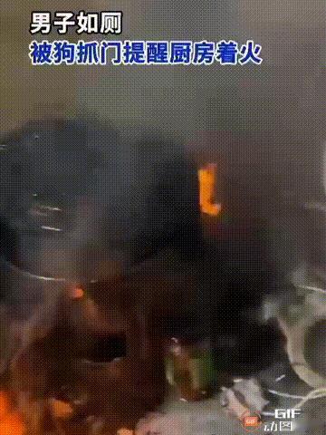 广东河源一名男子在厨房用电饭煲煮饭后，随即走到门口的卫生间上厕所，谁料这时，电饭