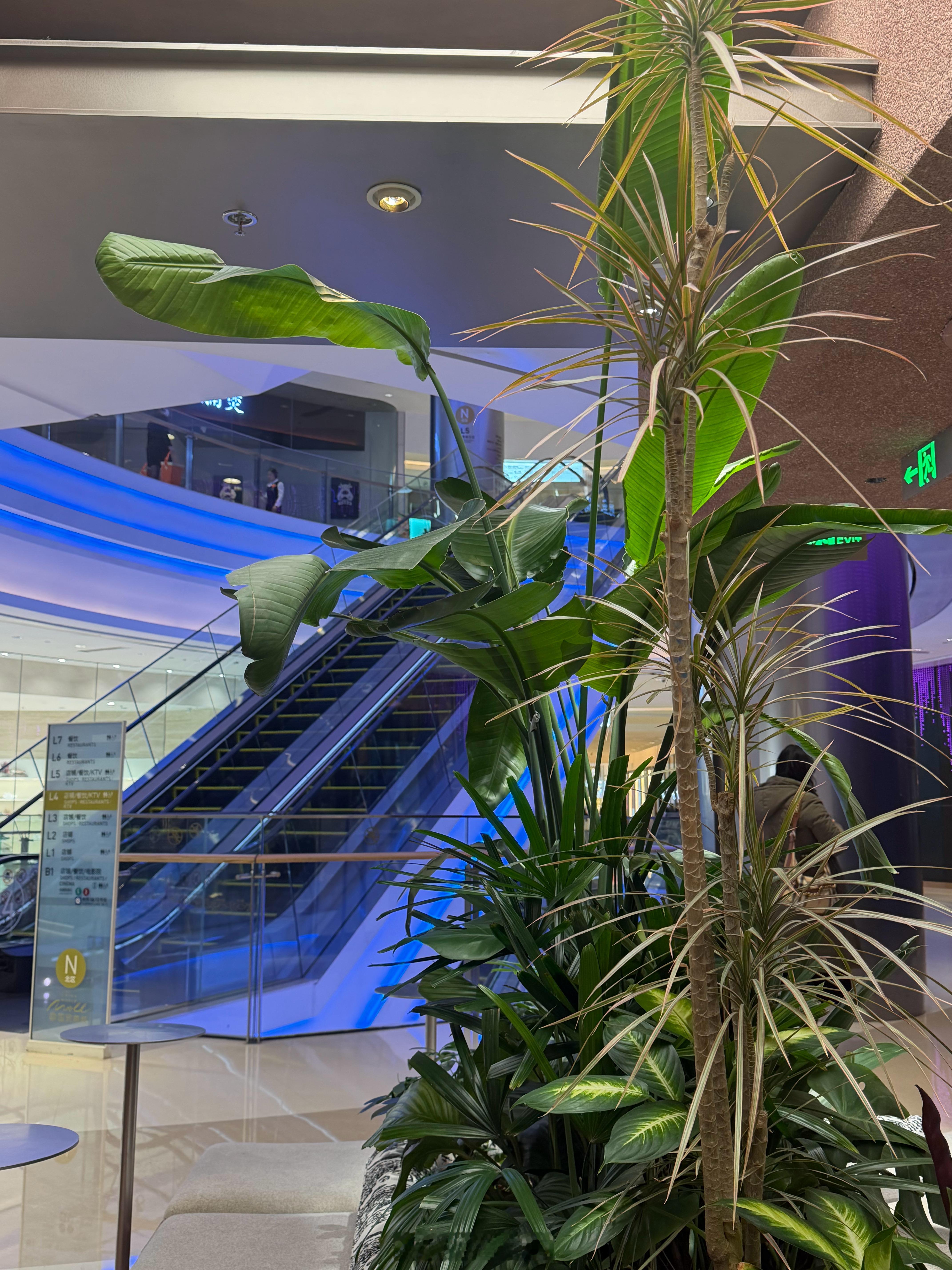 说个，挺细思极恐的事。就在刚刚，国贸商城这坐着等朋友，过去个小姑娘，打扮时尚，重