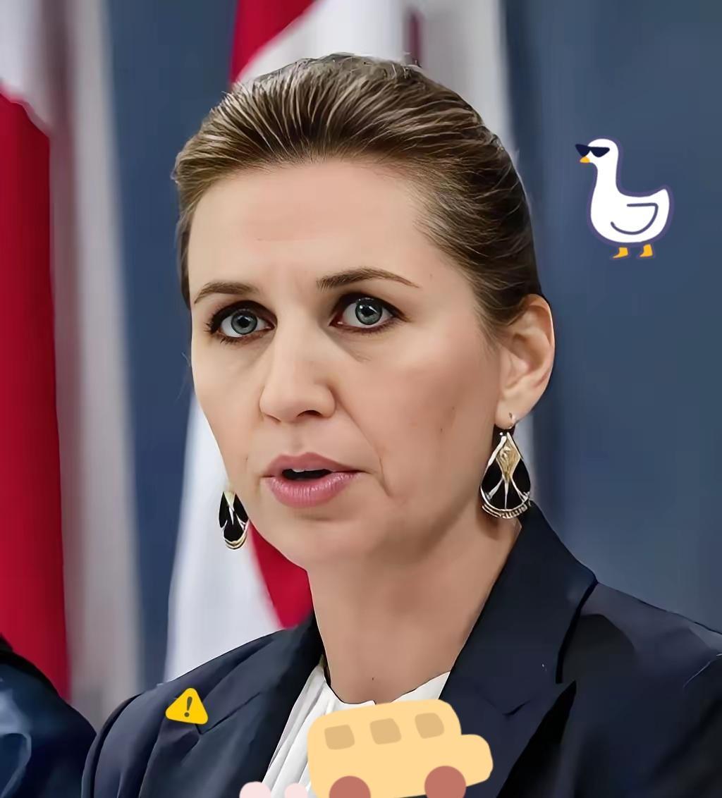 快讯！丹麦突然宣布了。据丹麦方面在11月15日对外披露，作为欧盟轮值